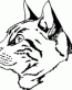 Cat Decals 25