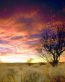 Counds and Sky Vinyl Wall Graphics 004