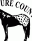 Cowboy Decals 38