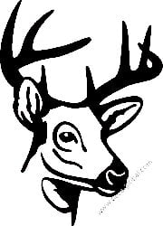 Deer Hunting Decal Sticker 17