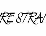 Dire Straits Decal