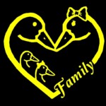 Duck Family Car Window Decal