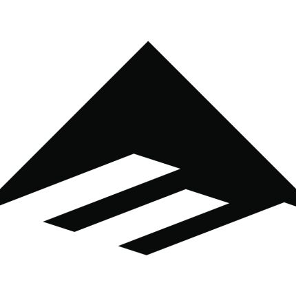 Emerica Logo