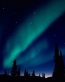 Forces of Nature Adhesive Wall Art 02