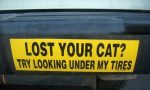 Funniest Crazy Cool Funny Bumper Sticker