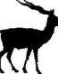 Gazelle Decal