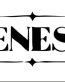 Genesis Band Vinyl Decal Stickers