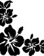 Hawaiian Vinyl Car Decals 10
