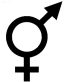 He She Diecut Decal