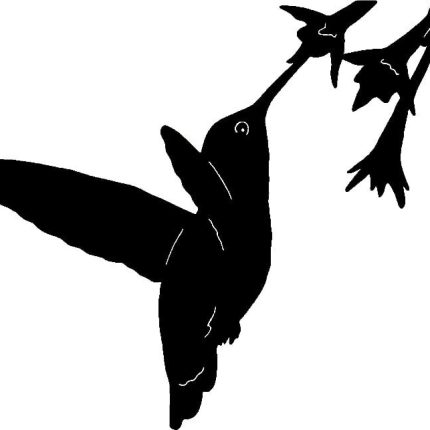 Humming Bird Birds Animal Animals Vinyl Decal Sticker 04