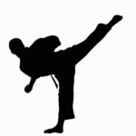 Karate Silhouette Decal