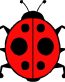 Ladybug Decals 3