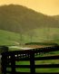 Landscape Vinyl Wall Graphic Decals 53