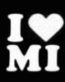 I love Michigan Decal