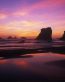 Oceans and Surf Wall Graphic Decals 37