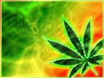 Rasta Reggae Sticker Weed 420 Decal 26