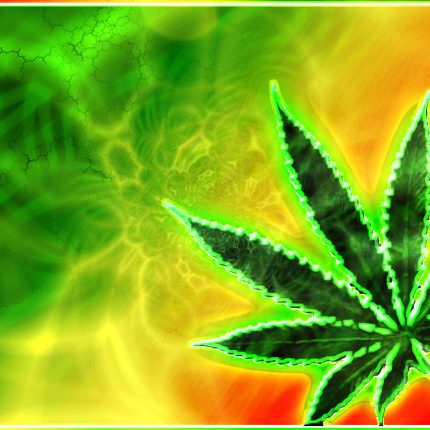 Rasta Reggae Sticker Weed 420 Decal 26