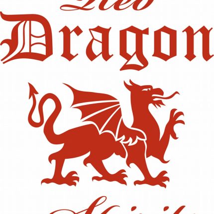 Red DRAGON Rectangular Decal