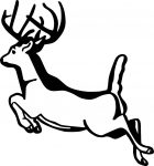 running deer decal