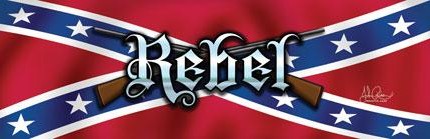 RWG rebel flag with guns rear window see thru graphic