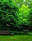 Spring TIme Vinyl Wall Decals 15