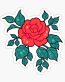 Beautiful Rose Sticker