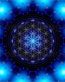 YOGA Flower of Life Color Sticker 7