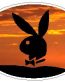 Oval Playboy Decal