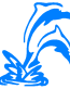 Dolphins decal