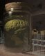 3D Object Vinyl Wall Decals 56