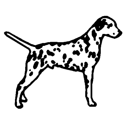 Dalmation Decal - 858