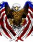 AMERICAN EAGLE USA