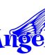 Angel Text with Wings Decal