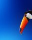Bird Vinyl Wall Graphics 05