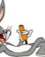 BUGS 01