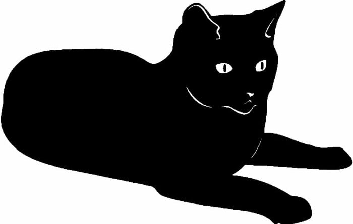 Cat Cats Animal Animals Vinyl Decal Sticker 12