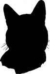 Cat Stickers and Wall Graphics 12