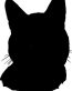 Cat Stickers and Wall Graphics 12