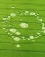 Crop Circles Adhesive Wall Decals 03