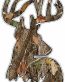 Deer Head Decal 44 - Camo Nature