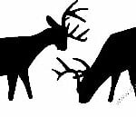 Deer Hunting Decal Sticker 47