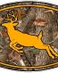 Deer Logo - Nature with Orange