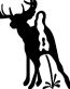 deer peeon decal