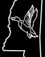 Duck Hunting Mississippi Diecut Vinyl Hunting Decal