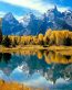 Fall Colors Adhesive Wall Graphics 14