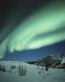 Forces of Nature Adhesive Wall Art 07