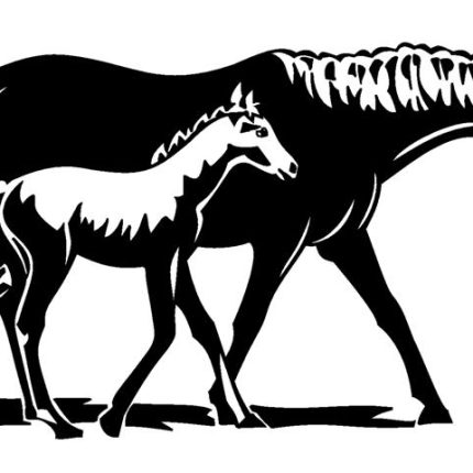 Horse and Colt Diecut Decal