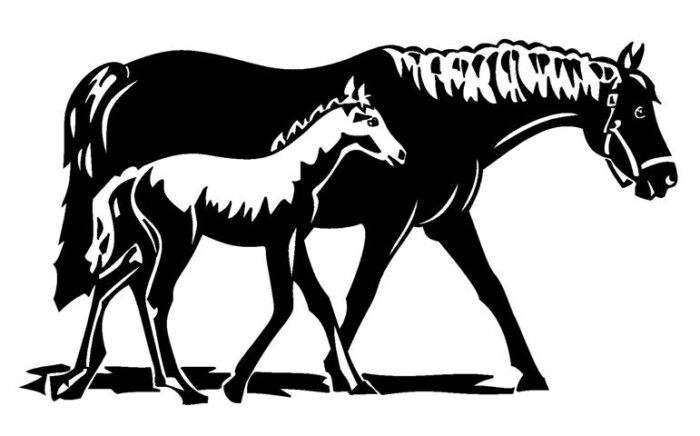 Horse and Colt Diecut Decal