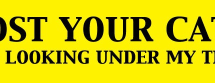 Lost Your Cat Try Looking Under My Tires Bumper Sticker