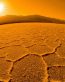 Sand and Deserts Vinyl Wall Graphics 40